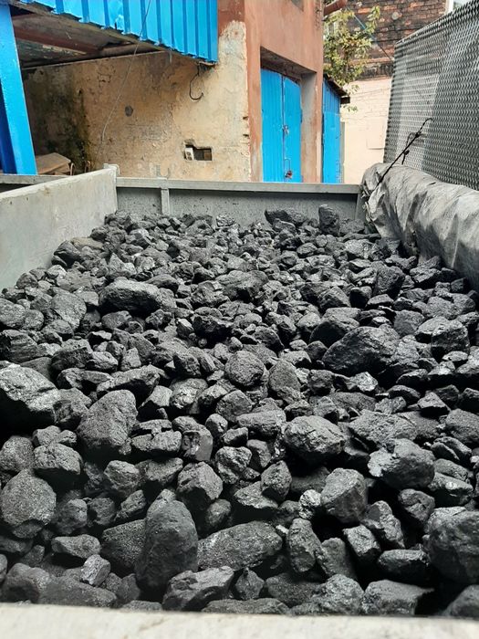 Polski Węgiel orzech