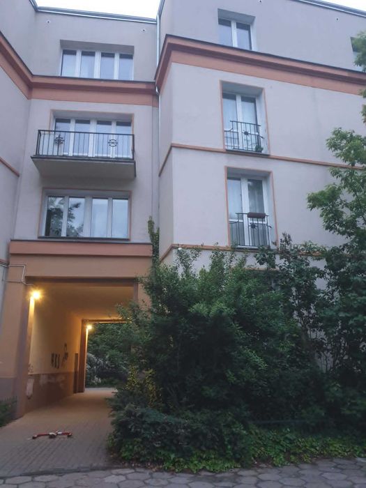 Warszawa Żoliborz - zaginął buro-biały kocurek Miczi
