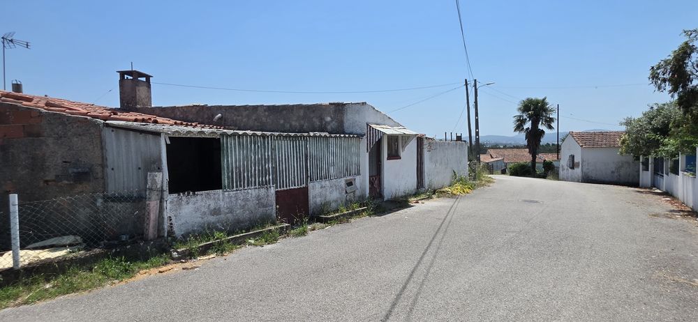 Moradia T3 Terrea com terreno