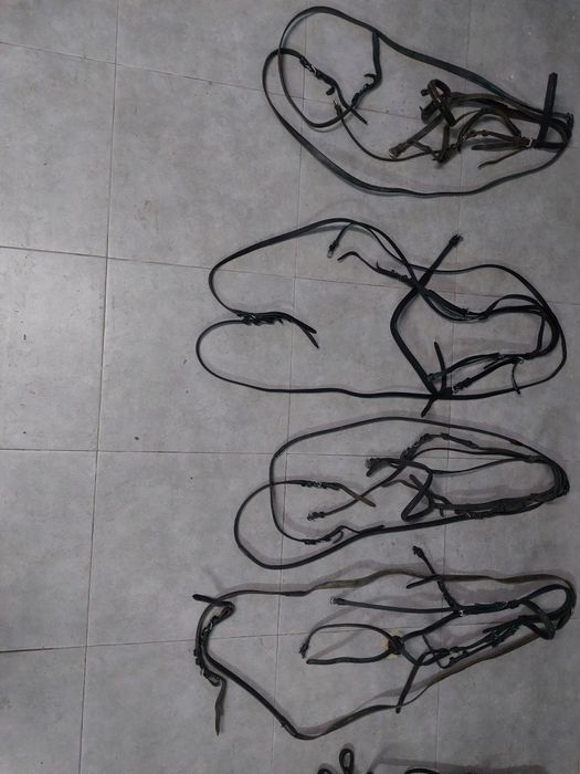 Cabeçadas/ Peitorais/ Gamarra