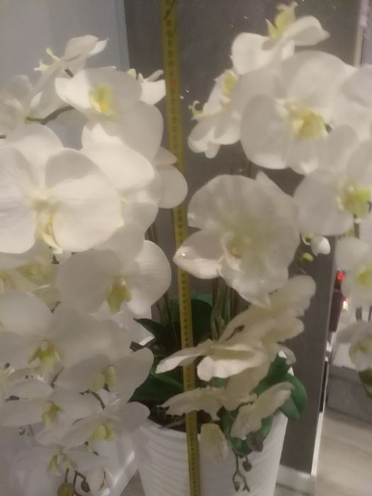 Orchidea sztuczna
