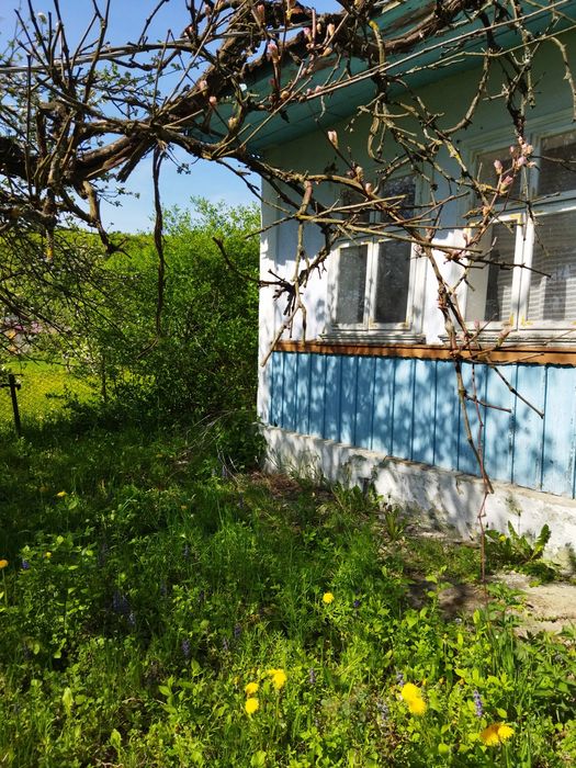 Господарство у с. Чорнівка