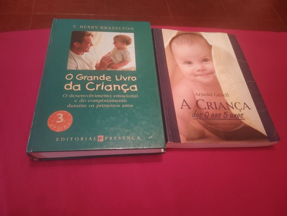 Livros Desenvolvimento da Criança Usados