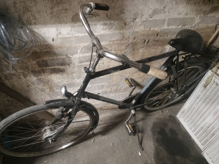 Rower batavus.     .