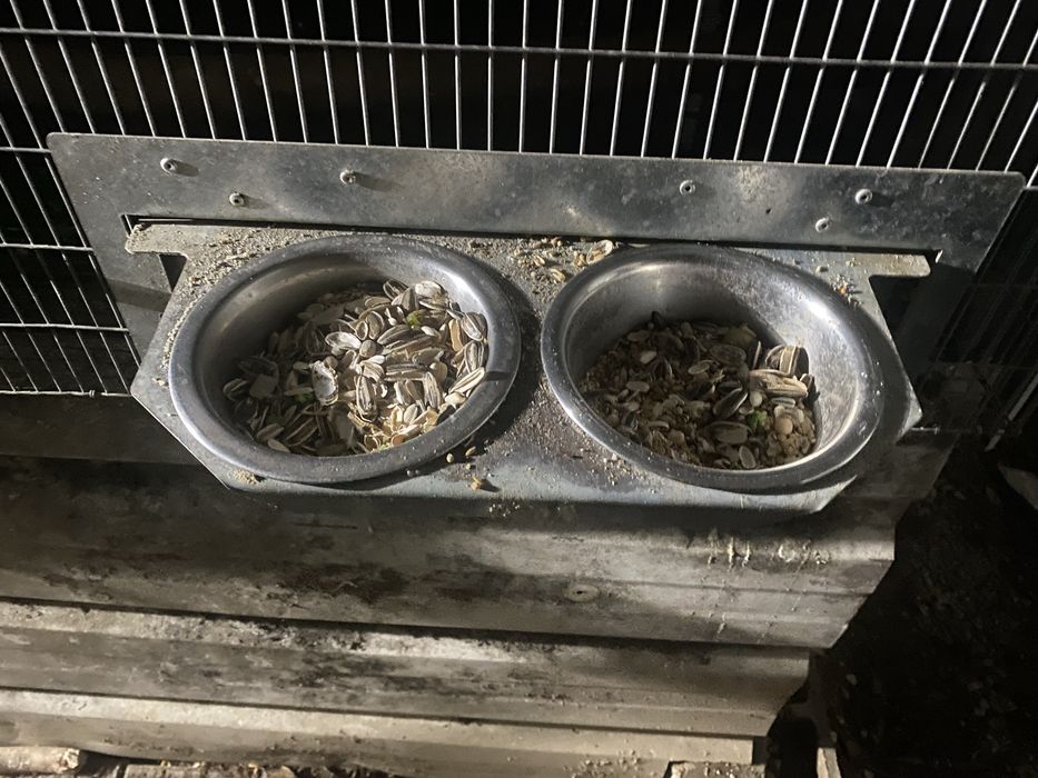 Comedouros rotativos