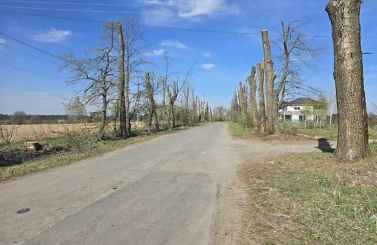Земельна ділянка с/г призначення, с.Славне на вул.Тиха, площа 12 соток