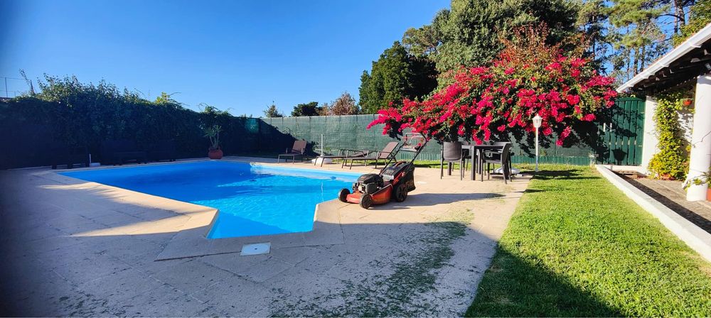 Manutencao jardim e limpeza terreno
