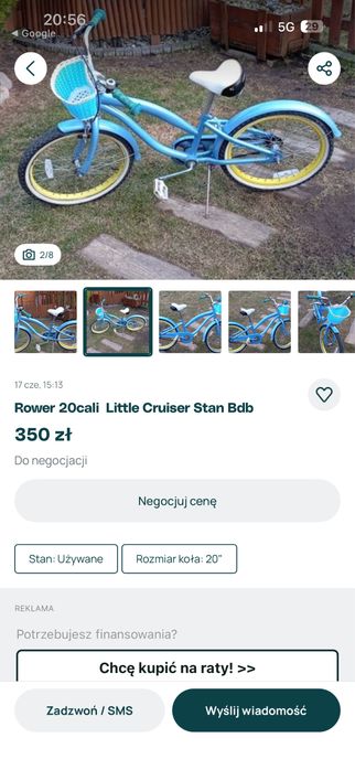 Kocurki szukają kochających domków