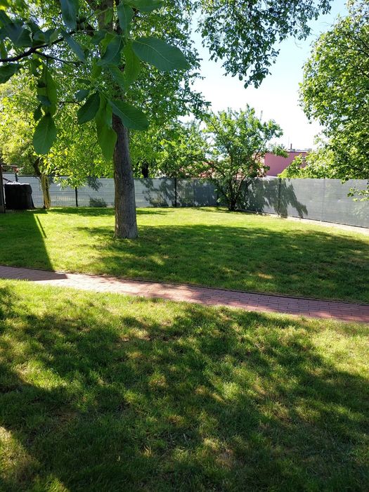 Działka centrum Głogów 5ar + garaż 72m + pomieszczenia gospodarcze - Widok 4