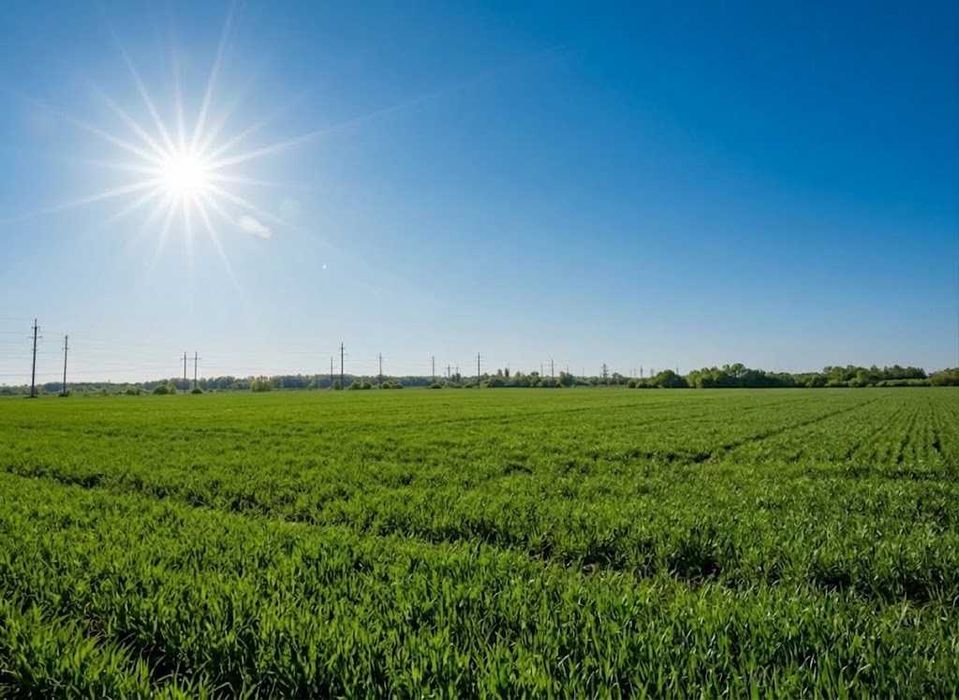 Продаж земельної ділянки 10 соток - ОСГ. Біля лісу. с.Оліївка. ID:747