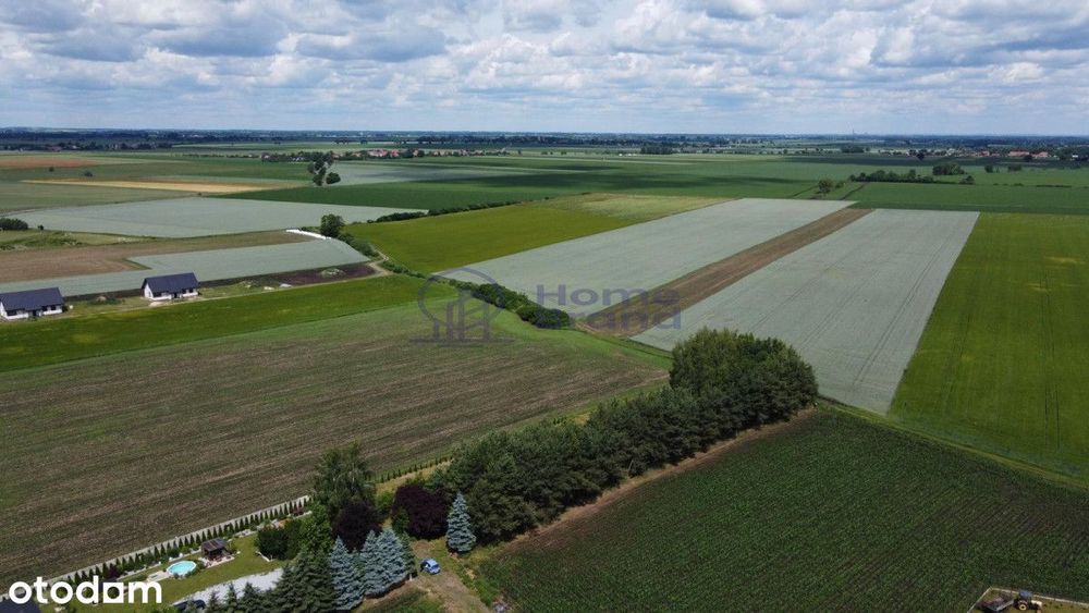 Działka budowlana 15 a | Pławna