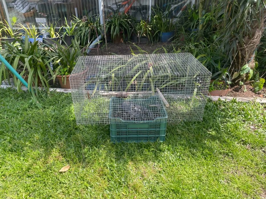 Vendo várias gaiolas
