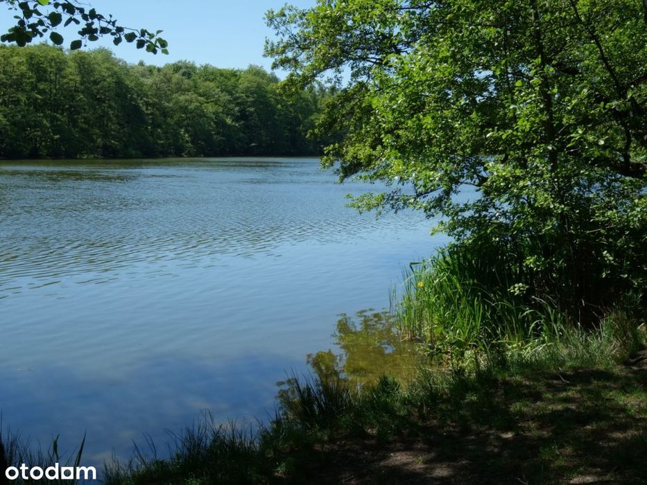 Stogi- mieszkanie blisko plaży -przy lesie- 10 minut  do Śródmieścia