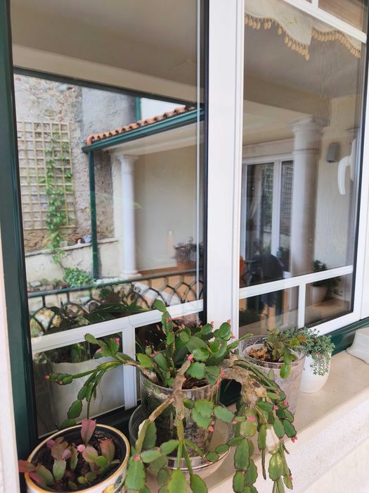 Janela de alumínio lacado