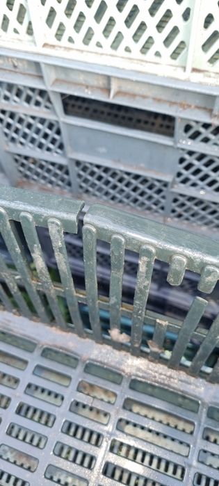 Skrzynki plastikowe na owoce / warzywa itp