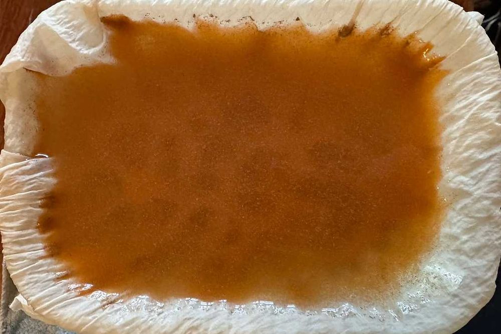 Artemia, solowiec, jaja do wylęgu - 500g