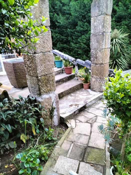 Jardineiro renovações limpeza e manutenção jardim