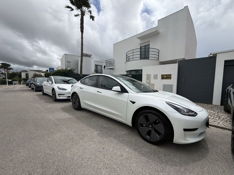 Tesla Model3 2021 Standard range plus518739319336488969