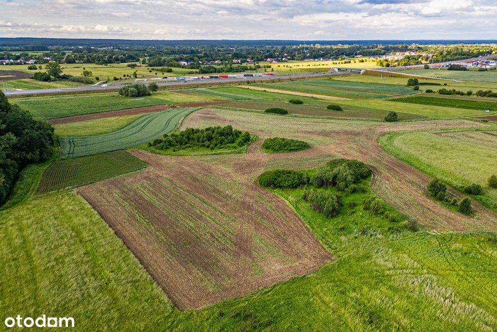Działka 57 arów – idealna pod Krus – Palikówka - Więcej