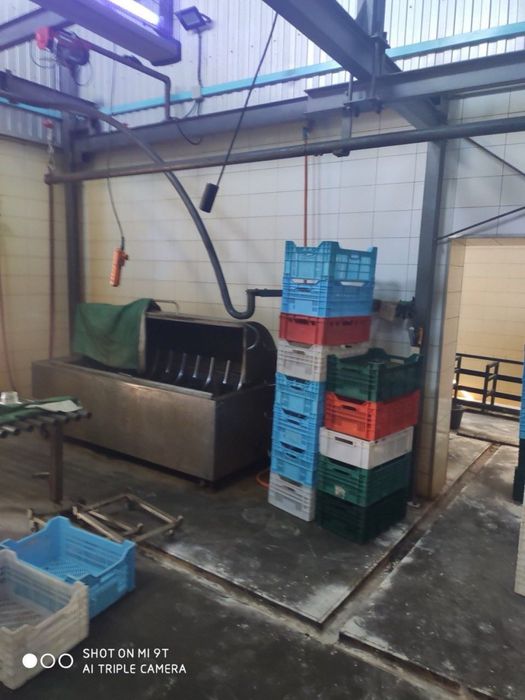 Продам бойню Хорошів, Житомирський район
