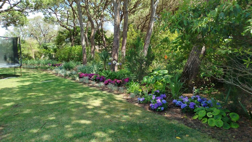 Serviços de Jardineiro Cascais / Estoril – Manutenção de Jardins