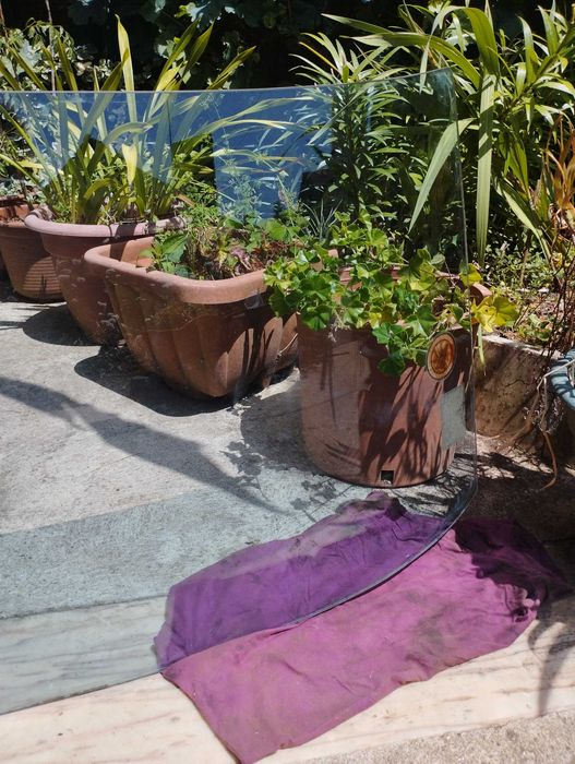 Parabrisa Datsun 1600 sss Original