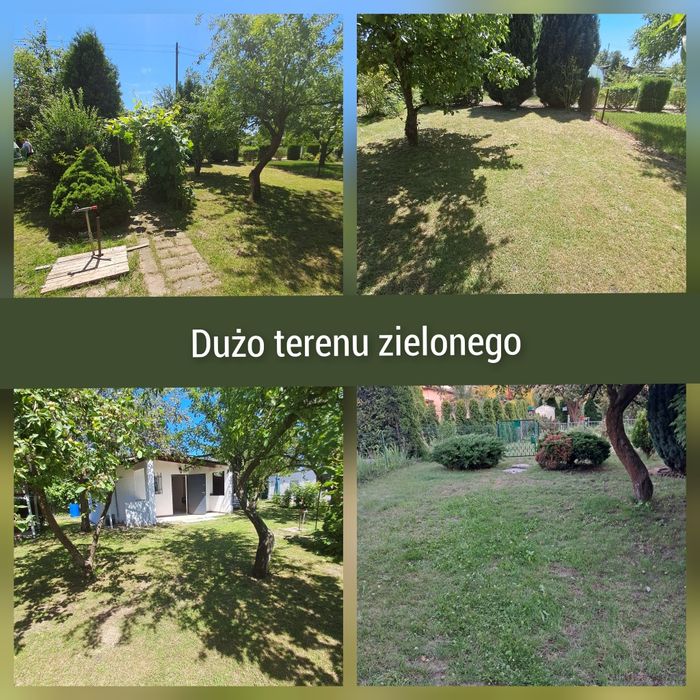 Działka ROD Minikowo  z domkiem murowanym 35m² - More