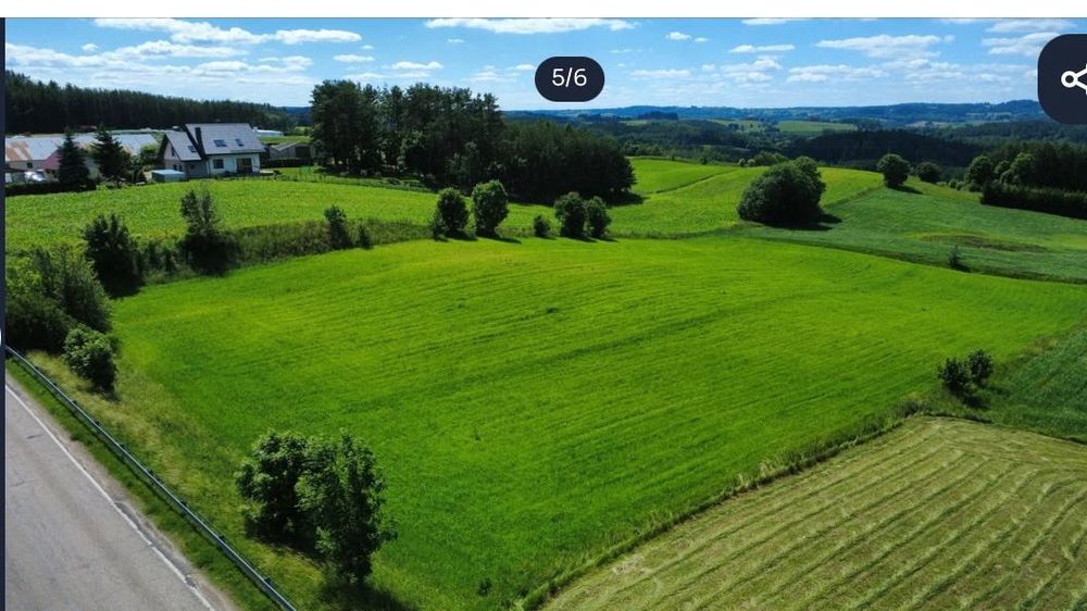 Pilnie! Działka 8.964 m² z mediami - Sidory gmina JeleniewoMazury - Widok 5