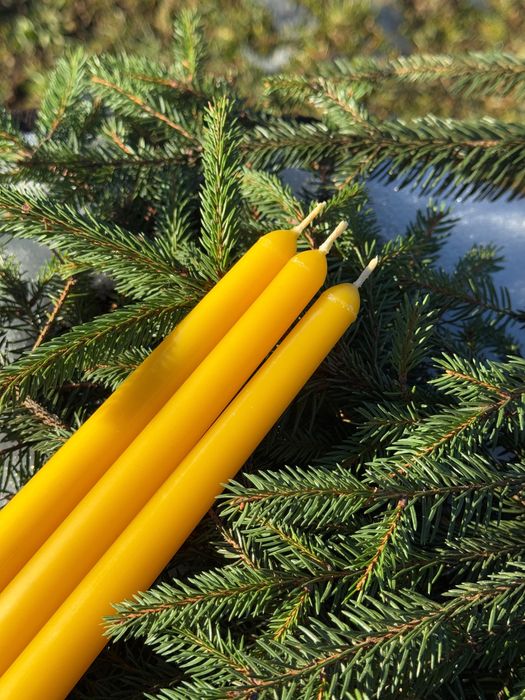 Свічка з 100% бджолиного воску Воскова свічка Натуральна свічка