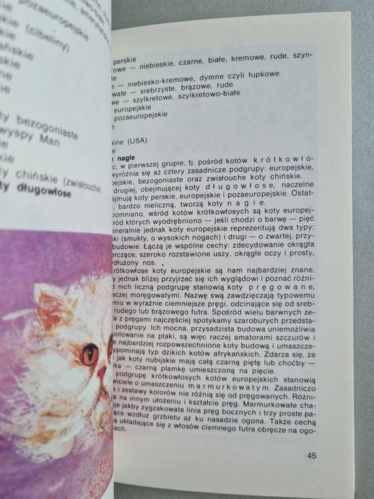 Persy, syjamy i dachowce - Książka