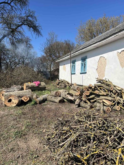 Дрова продам терміново дерево