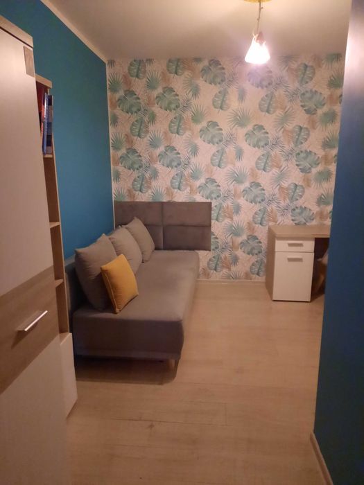 mieszkanie do wynajęcia w centrum