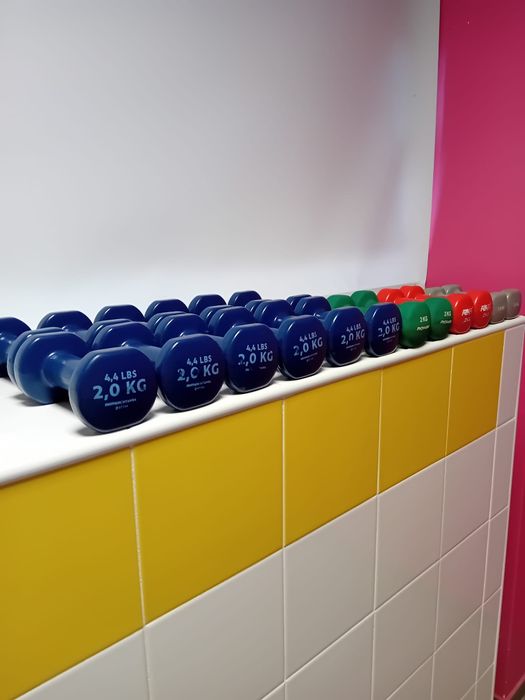 Halteres com pouco uso