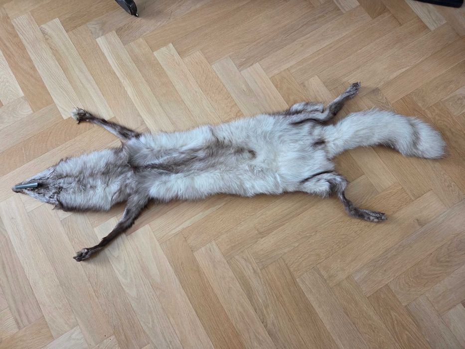 Kołnierz ze srebrnego lisa