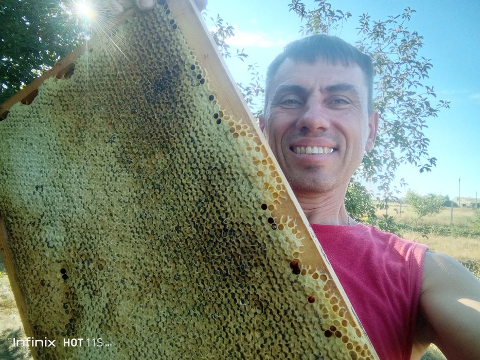 Мед зі своєї пасикі