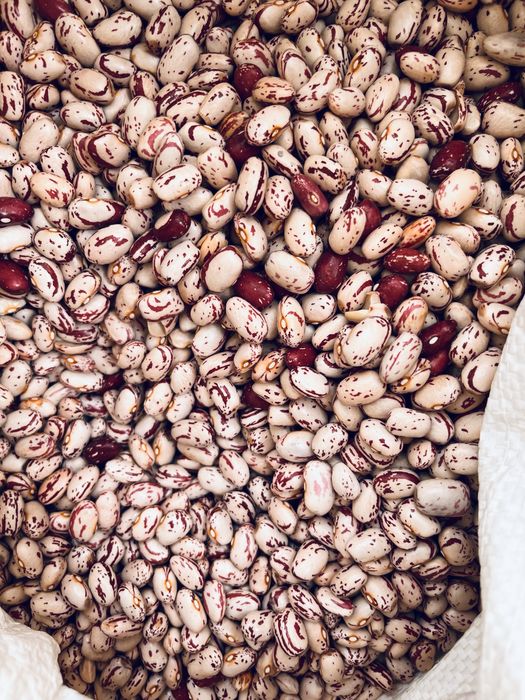 фасоля Борлотто пишіть