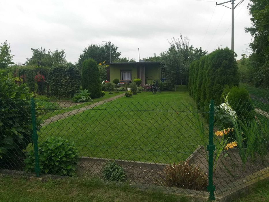 Działka rekreacyjna ROD Polna 2 (Kluczbork) - 312 m²