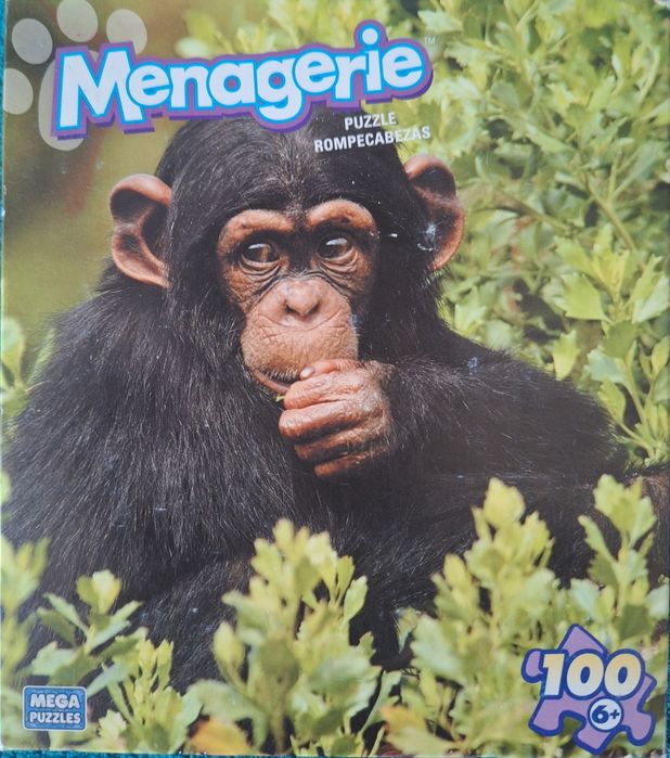 Puzzle 100 elementów Tygrys Stan idealny + Gratis