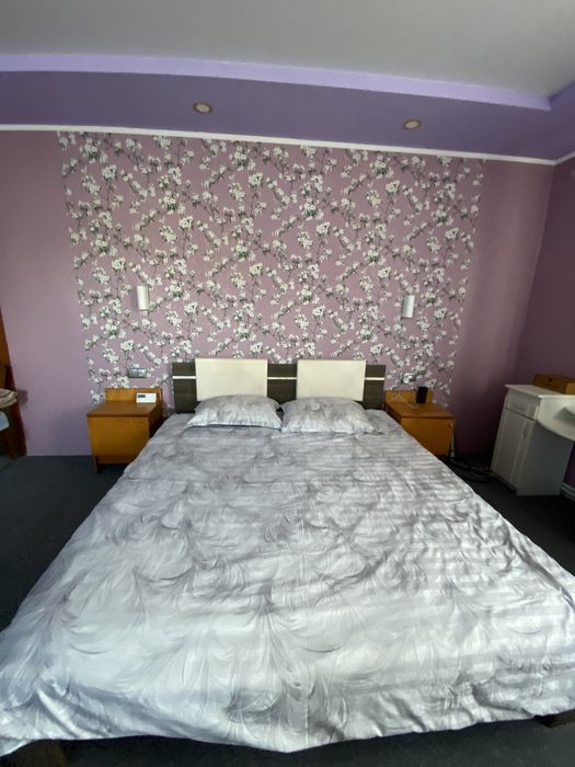 Будинок з газом, свіжий ремонт. Ділянка 40 соток!