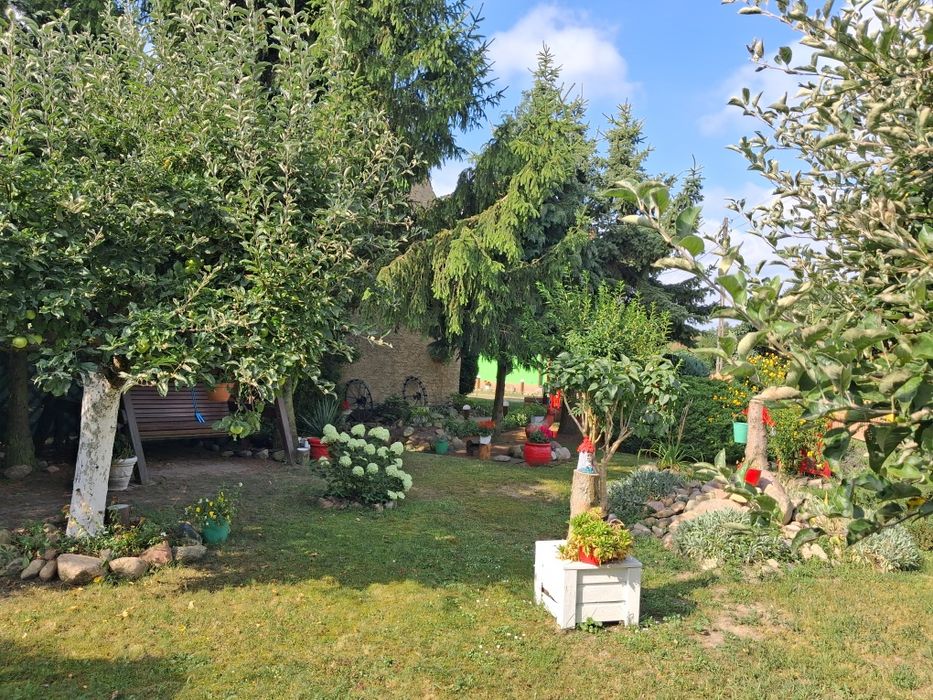 Dom z garażami i ogrodem