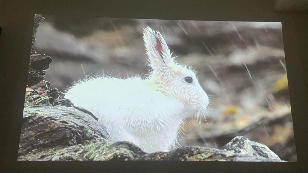 Xiaomi Mi Smart Projector 2