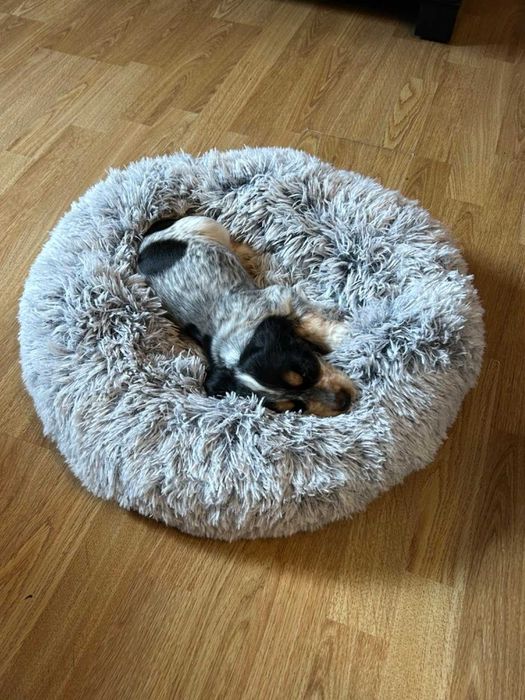 Legowisko Łóżko dla psa, kota miękkie szare