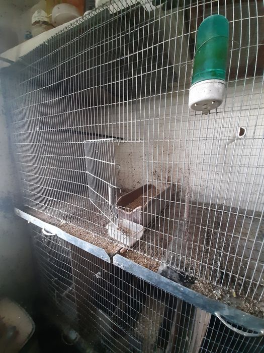 Vendo Gaiola  galvanizada 1.45x1.80x62