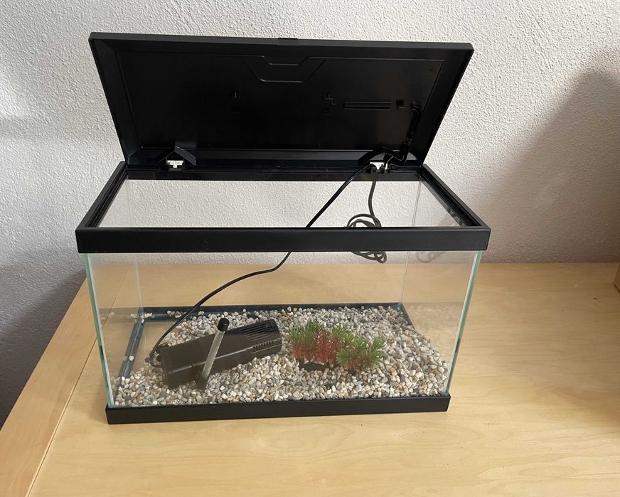 Aquário 40x25x20 e acessórios