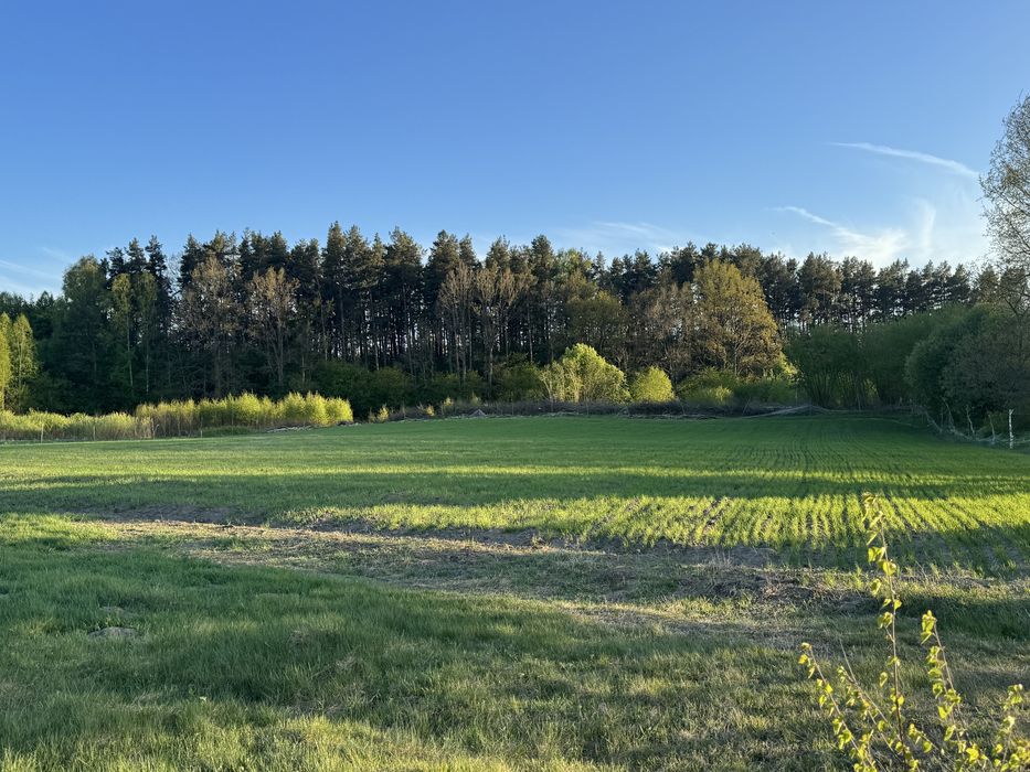 Budynek mieszkalny+budynek gospodarczy 3,3 ha ziemi ( bezterminowe WZ)