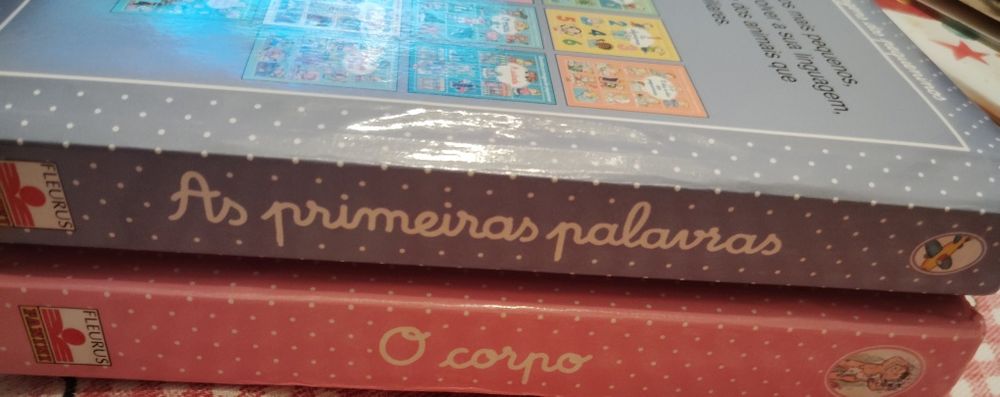 Livros Dicionário Por Imagens dos Pequeninos Usados