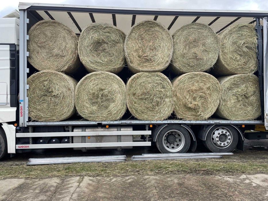 SIANO w belach, kostce DUŻEJ, małej oraz słoma