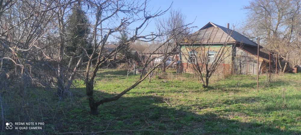 Продам будинок по близу Чернігова з доглянутим садом і городом.