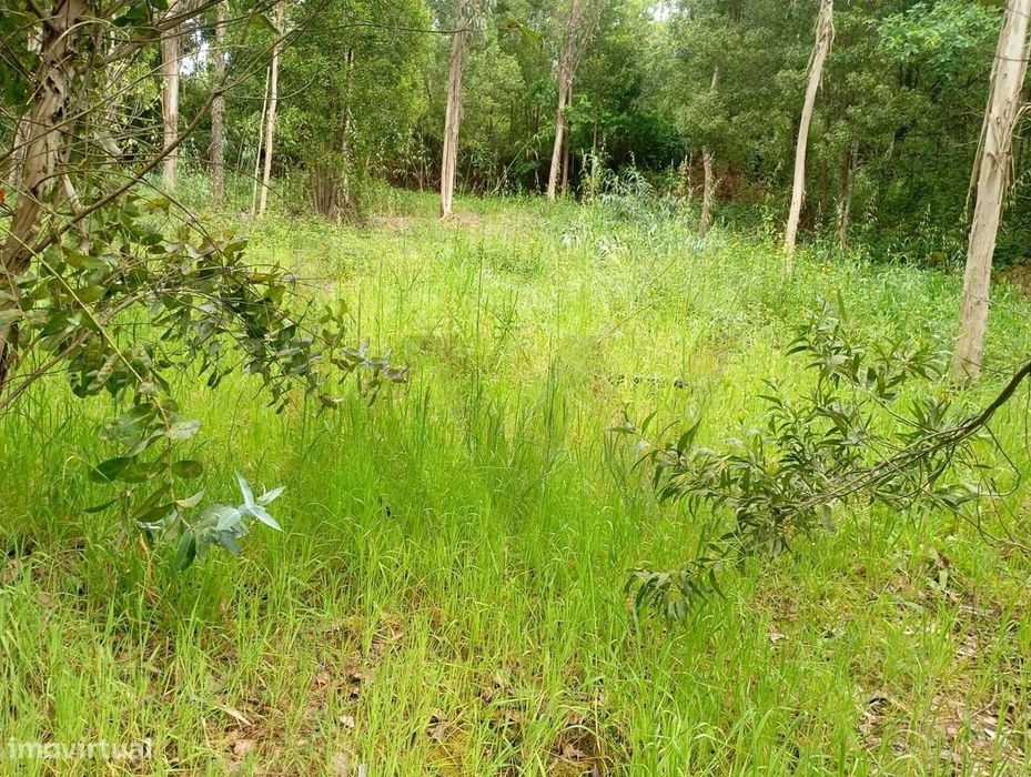 Terreno  com moinho, na rota dos mionhos em Ouca – Vagos