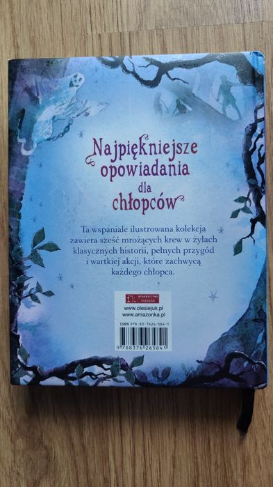 Książka "Najpiękniejsze opowiadania dla chłopców"